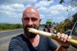 GoCook! Tag ungerne med i køkkenet på en vild mad-mission!