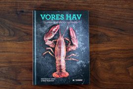 Monopolet anmelder: "Vores Hav" af Helle Brønnum Carlsen og Mikkel Wejdemann