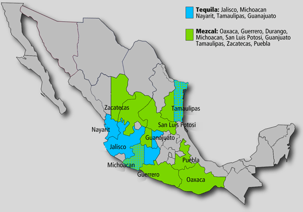 Thursdays Tequila: Kender du forskellen tequila og mezcal - udover at begge giver hovedpine dagen efter?