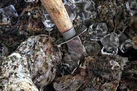 Østerstema: Hvad siger du til østers - Love or hate?