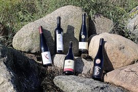 Disse vinperler fra Vinfadet.dk må du ikke gå glip af!