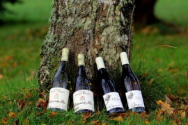 Har du smagt hvidvin fra Rhône?