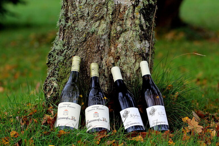 Har du smagt hvidvin fra Rhône?