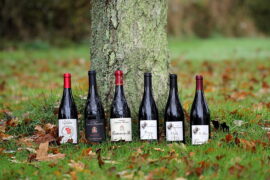 Côtes du Rhône: 6 stærke bud fra Degustation