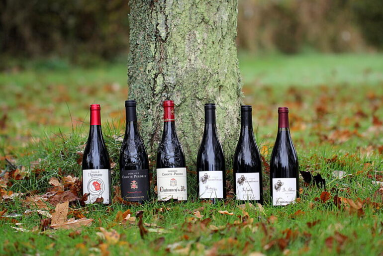Côtes du Rhône: 6 stærke bud fra Degustation