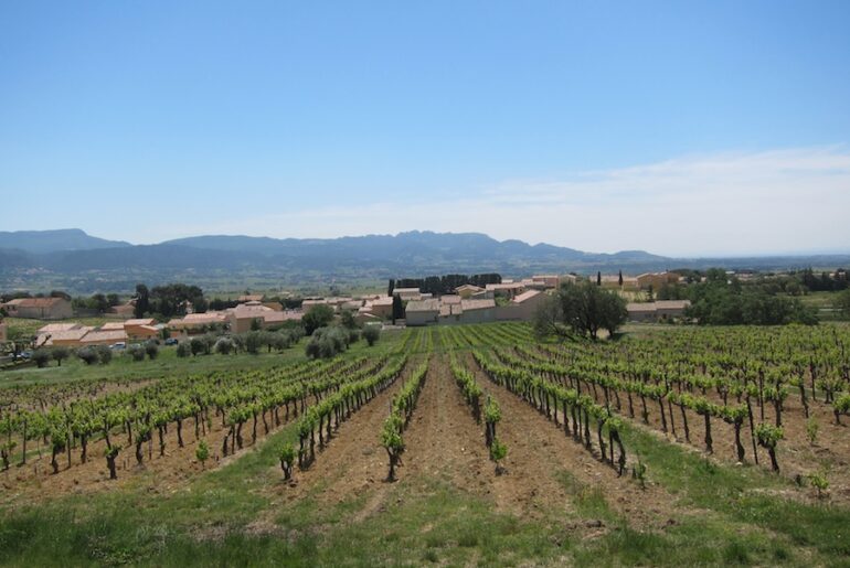 Derfor holder jeg så meget af Rhône vin