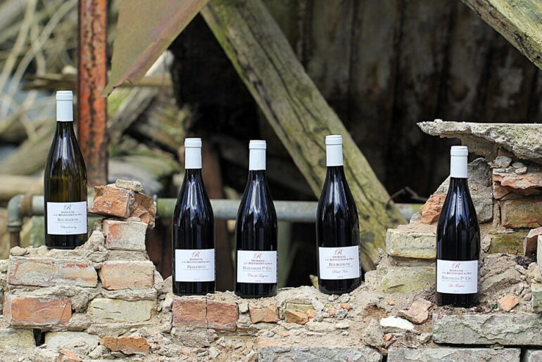 Jean-Claude Regnaudot & Fils Bourgogne - vaule for money!