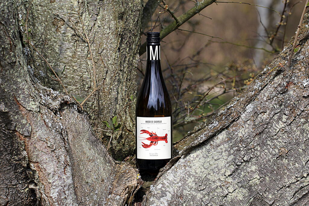 International Chardonnay og Sauvignon Day