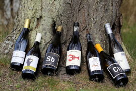 International Chardonnay og Sauvignon Day