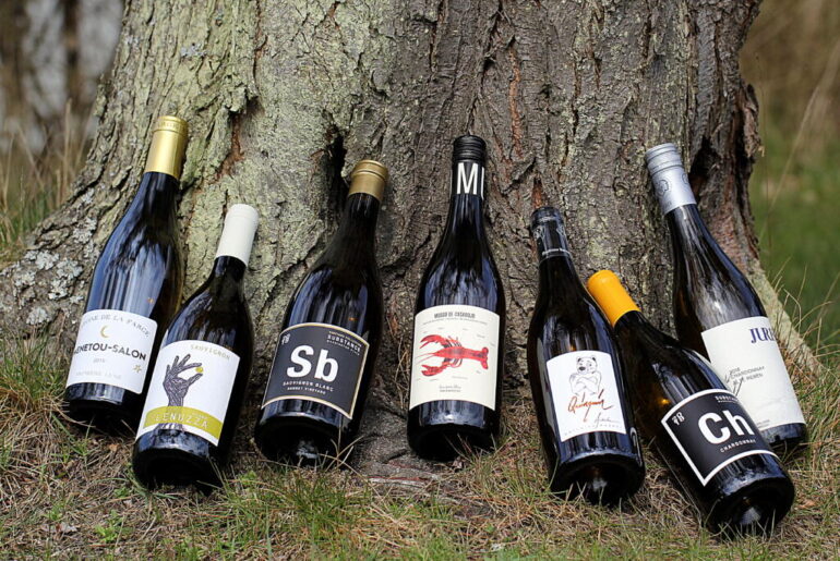 International Chardonnay og Sauvignon Day