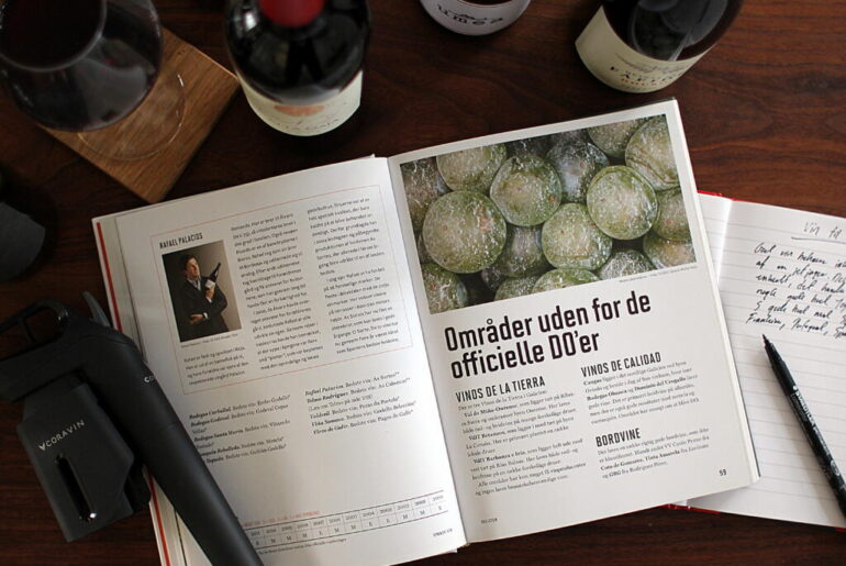 Så meget vin får du for under 100 kr.