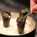 Nytårsmenu: Krustader med agurkecreme og caviar