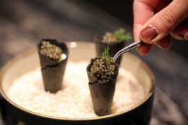 Nytårsmenu: Krustader med agurkecreme og caviar