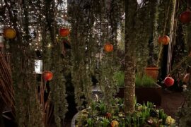 Monopolet smager på: Gemyse - så godt kan grøntsager smage