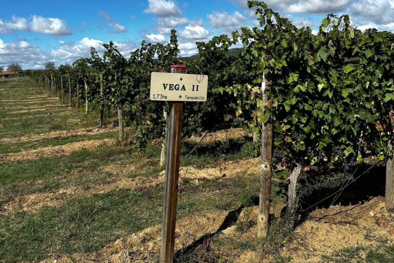 Guide om Ribera Del Duero