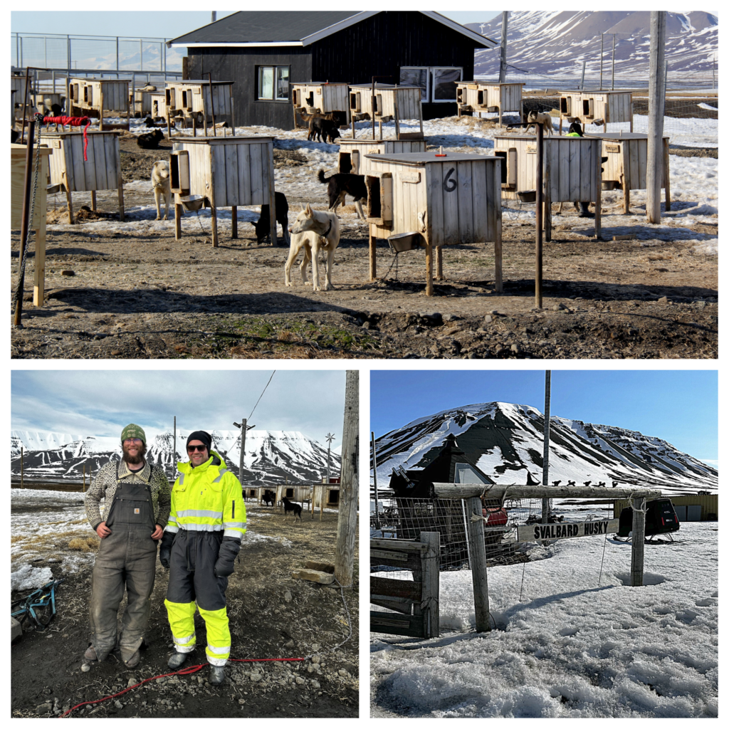 Spiseguide og rejseguide til Svalbard Norge