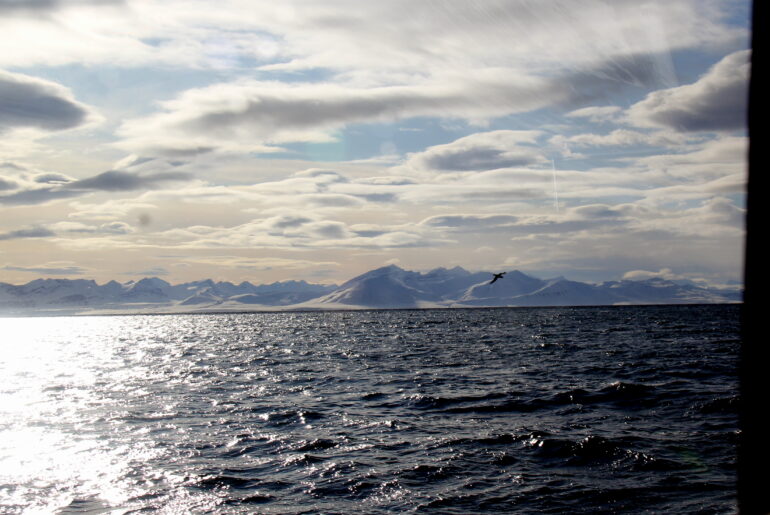 Spiseguide og rejseguide til Svalbard Norge