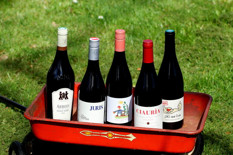 Lette, friske rødvine til foråret - her er 5 fremragende bud!