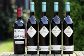 Verdensklassevin fra Marchesi di Barolo