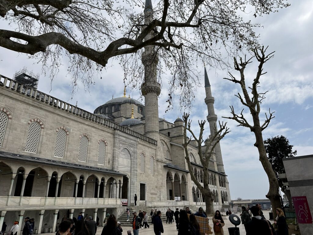 Rejse- spiseguide til Istanbul - det mener jeg, du skal opleve, der kan du bo, og her bør du spise