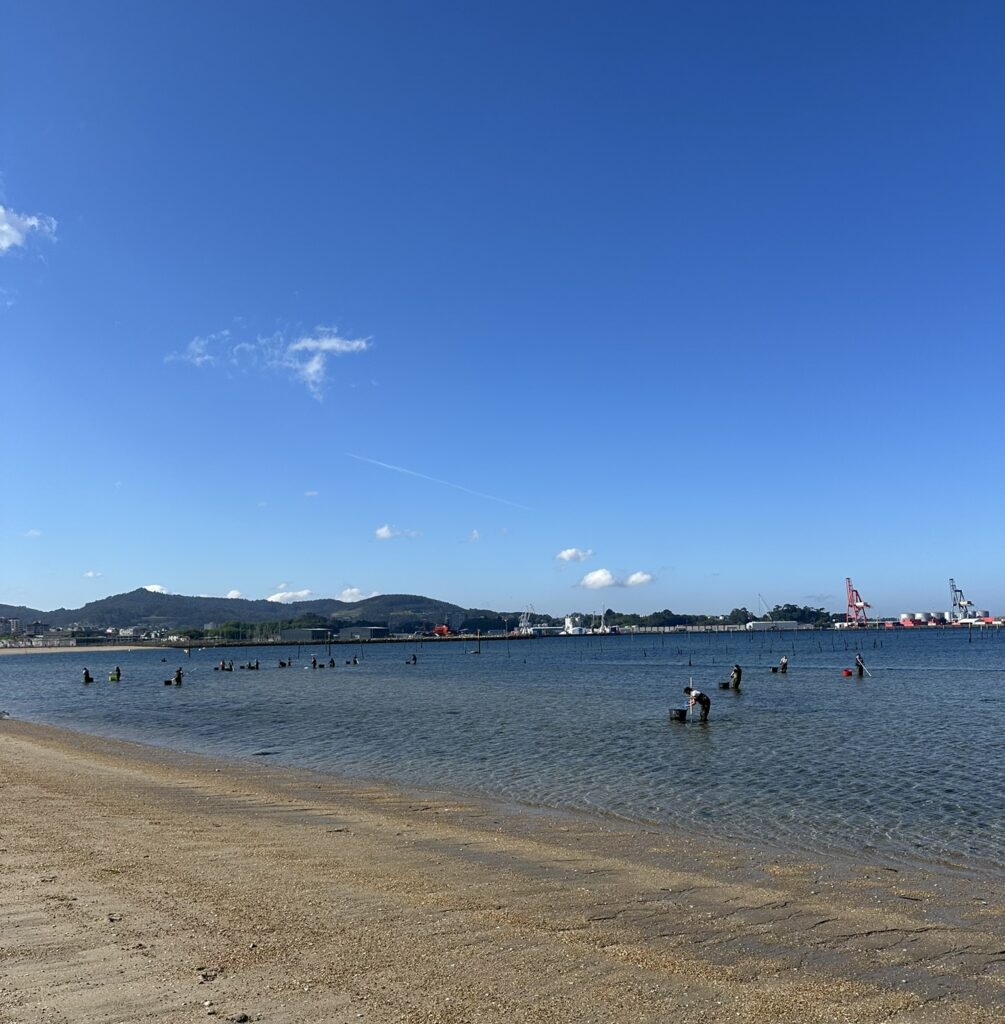 Rejse- og spiseguide til Galicien - det mener jeg, du skal opleve, der kan du bo, og her bør du spise