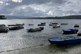 Rejse- og spiseguide til Galicien - det mener jeg, du skal opleve, der kan du bo, og her bør du spise