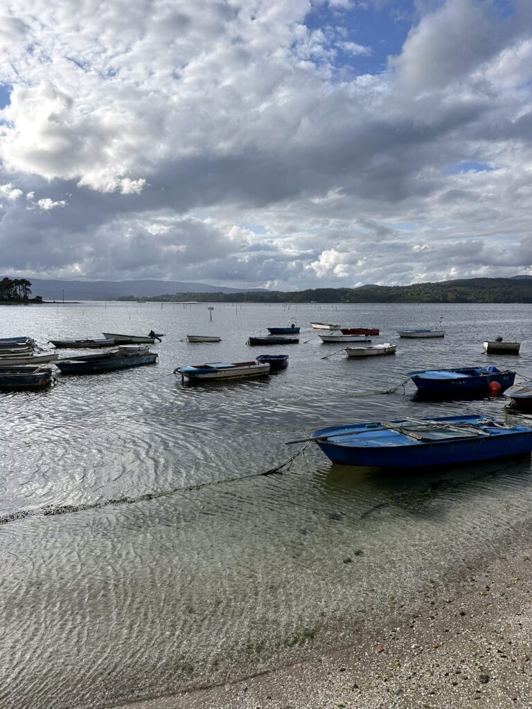 Rejse- og spiseguide til Galicien - det mener jeg, du skal opleve, der kan du bo, og her bør du spise