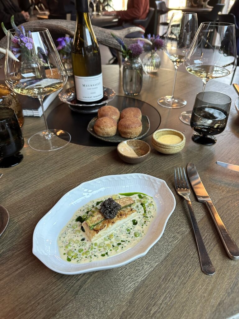 Derfor mener jeg, at