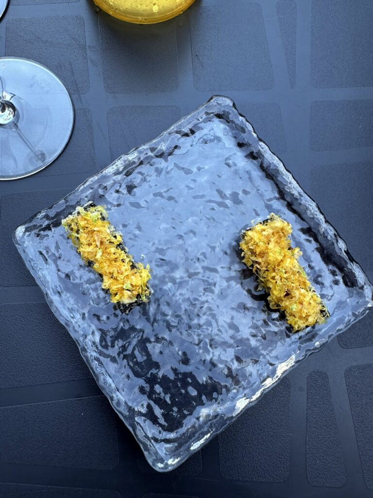 Derfor mener jeg, at