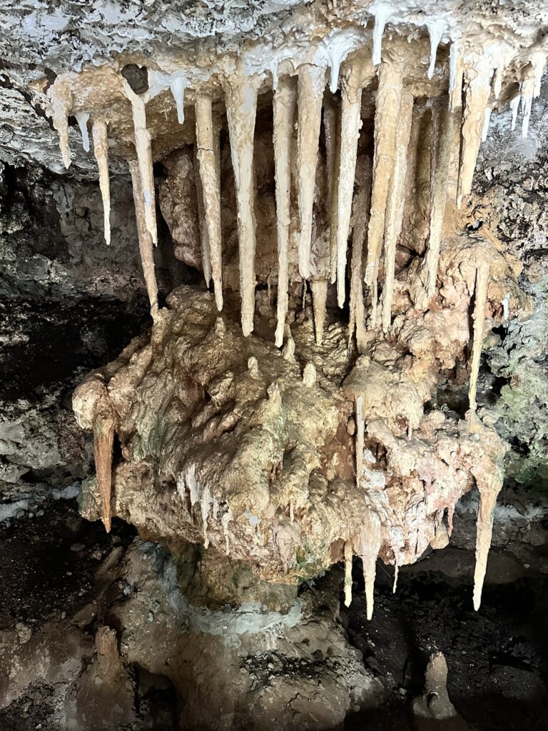 Zanzibar – Det tropiske paradis i Det Indiske Ocean