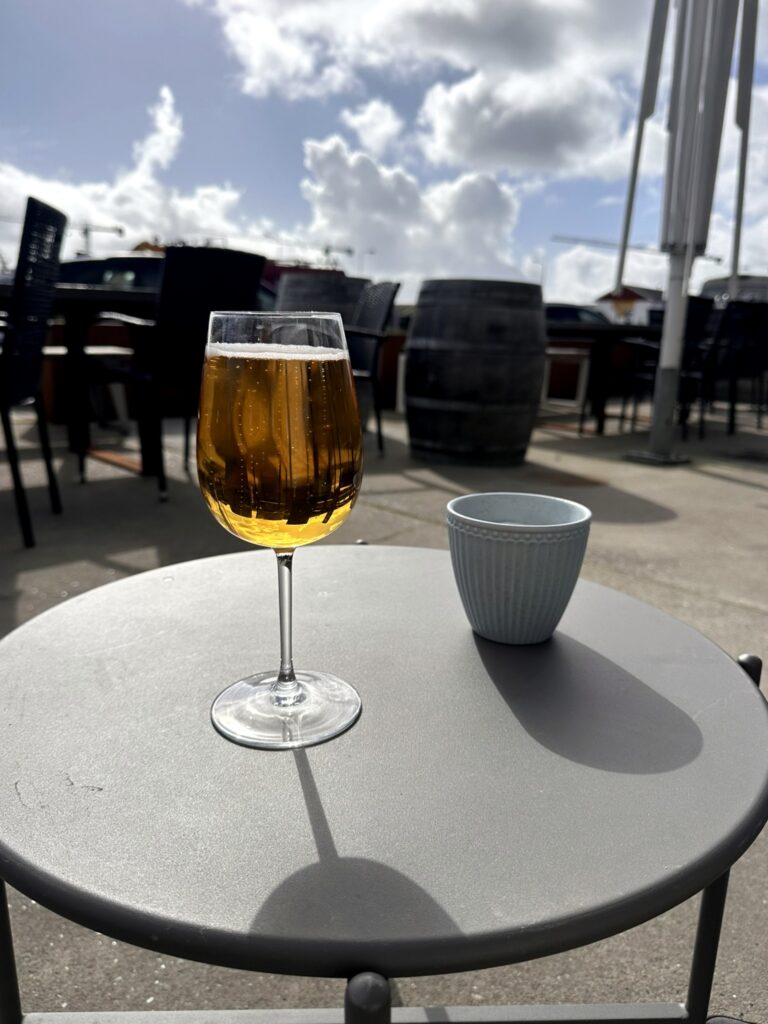 Spise- og rejseguide Skagen - det kan du opleve på 48 timer